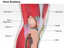 0514 side view of knee human anatomy medical images for powerpoint