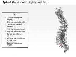 0514 spinal cord lateral view medical images for powerpoint