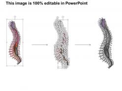 73405497 style medical 1 nervous 1 piece powerpoint presentation diagram template slide