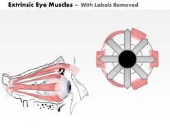 0514 the extrinsic eye muscles medical images for powerpoint