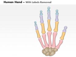 0514 the human hand medical images for powerpoint