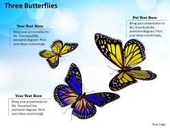0514 three butterflies image graphics for powerpoint