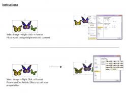 0514 three colorful butterflies image graphics for powerpoint