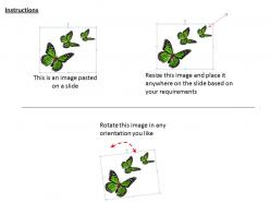 0514 three green butterflies image graphics for powerpoint