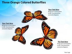 0514 three orange colored butterflies image graphics for powerpoint