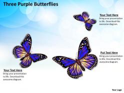 0514 three purple butterflies image graphics for powerpoint