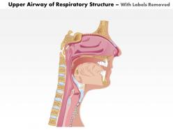 0514 upper airway of respiratory structure medical images for powerpoint