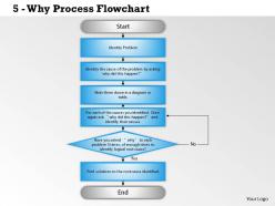 0514 why process flowchart powerpoint presentation