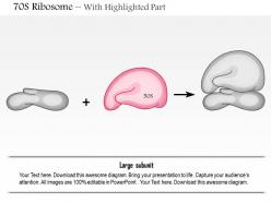 0614 70s ribosome medical images for powerpoint