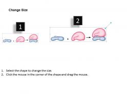 59615773 style medical 3 biology 1 piece powerpoint presentation diagram template slide