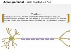 0614 action potential medical images for powerpoint