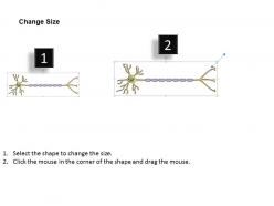 0614 action potential medical images for powerpoint