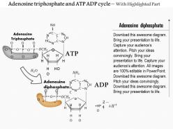 0614 adenosine triphosphate and atp adp cycle medical images for powerpoint