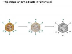 0614 adenovirus medical images for powerpoint