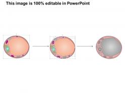 0614 adipocyte medical images for powerpoint
