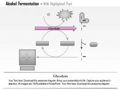 0614 alcohol fermentation medical images for powerpoint