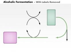 0614 alcoholic fermentation medical images for powerpoint