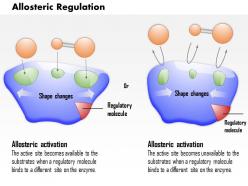 0614 allosteric regulation medical images for powerpoint