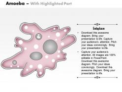0614 amoeba medical images for powerpoint