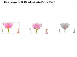 0614 angiosperm medical images for powerpoint