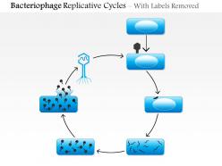 0614 bacteriophage replicative cycles medical images for powerpoint
