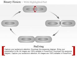 0614 binary fission medical images for powerpoint