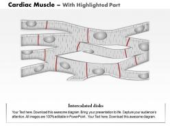 0614 cardiac muscle medical images for powerpoint