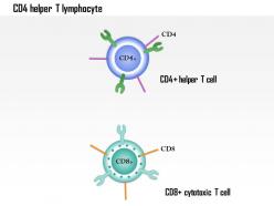 0614 cd4 helper t lymphocyte immune medical images for powerpoint