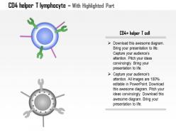 42198914 style medical 3 immunology 1 piece powerpoint presentation diagram infographic slide