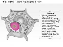 0614 cell parts medical images for powerpoint
