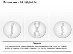 0614 chromosomes medical images for powerpoint
