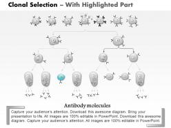 0614 clonal selection medical images for powerpoint