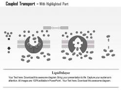 0614 coupled transport medical images for powerpoint