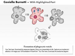 0614 coxiella burnetti medical images for powerpoint