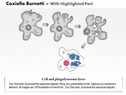 0614 coxiella burnetti medical images for powerpoint