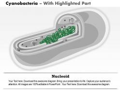 0614 cyanobacteria medical images for powerpoint