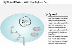 0614 cytoskeleton biology medical images for powerpoint