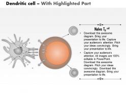 0614 dendritic cell medical images for powerpoint