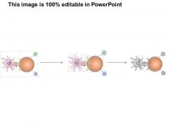 0614 dendritic cell medical images for powerpoint