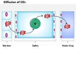 0614 diffusion of co2 medical images for powerpoint