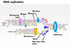 0614 dna replication medical images for powerpoint