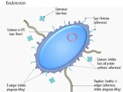 0614 endotoxin biology medical images for powerpoint