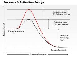 0614 enzymes and activation energy medical images for powerpoint