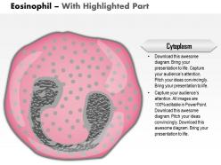 0614 eosinophil immune system medical images for powerpoint