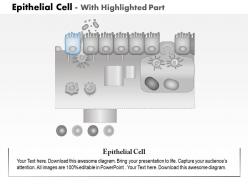 0614 epithelial cell medical images for powerpoint
