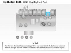 0614 epithelial cell medical images for powerpoint