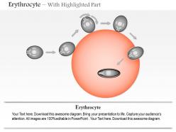 0614 erythrocyte medical images for powerpoint