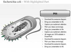 0614 escherichia coli medical images for powerpoint