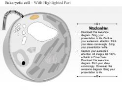 0614 eukaryotic cell medical images for powerpoint