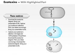 0614 exotoxins medical images for powerpoint